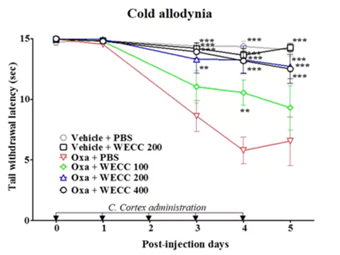 Graph of MF018 pain reduction