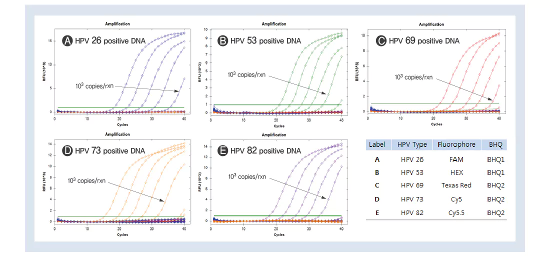 Mediforum MF HPV HR5 Results