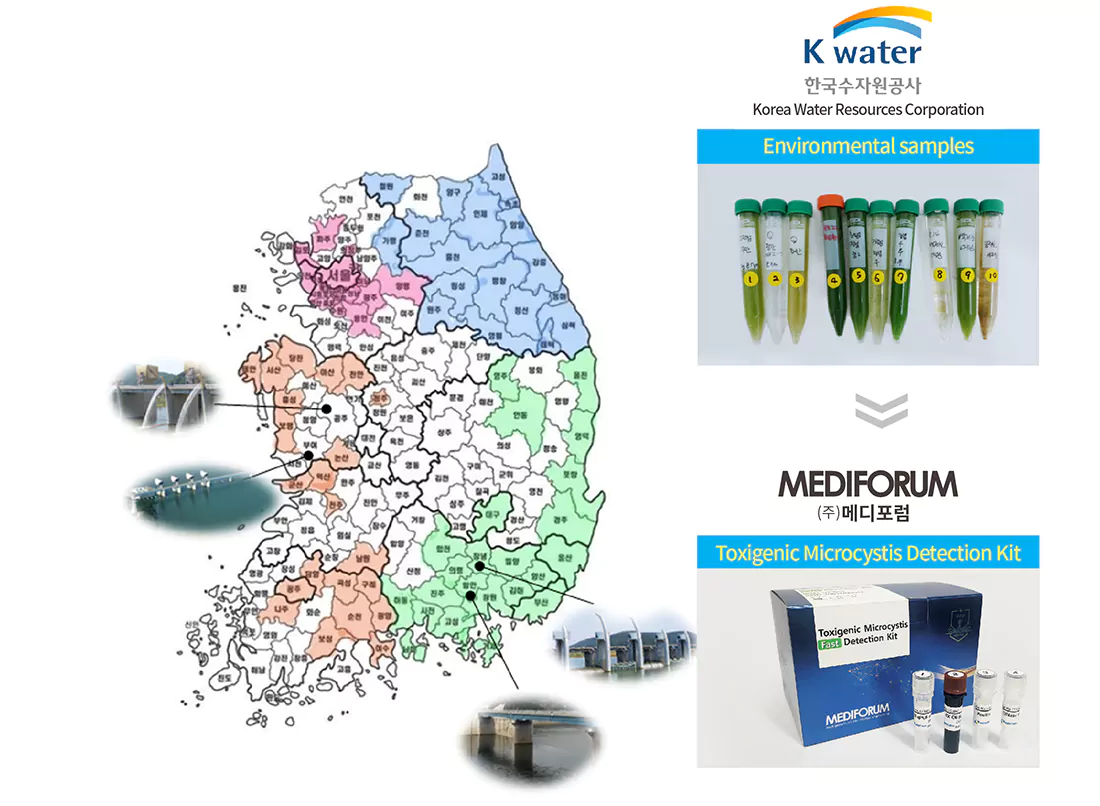 Mediforum MF Toxinogenic Microcystis Results